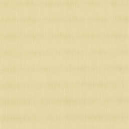  BN Timeless Stories BN 220430