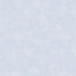  Bernardo Bartalucci Carlotta 84217-1