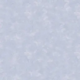  Bernardo Bartalucci Carlotta 84217-4