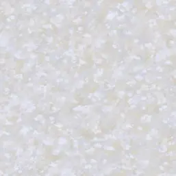  Bernardo Bartalucci Carlotta 84218-2