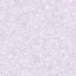  Bernardo Bartalucci Carlotta 84218-4