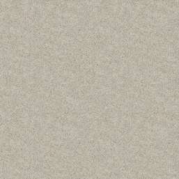   Bioplast  3 861