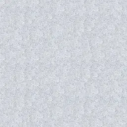  Bioplast  2 971