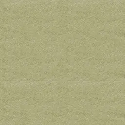  Bioplast  1 1001