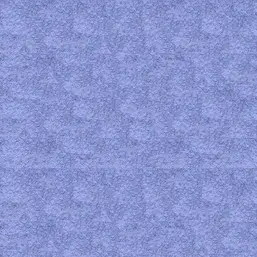  Bioplast  1 1004