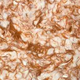  Bioplast  1 906