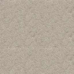  Bioplast  3 879