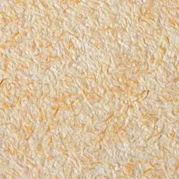  Bioplast  4 013