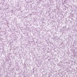  Bioplast  4 113