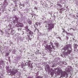  Bioplast  4 413