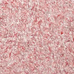  Bioplast  4 603