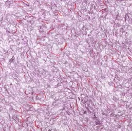  Bioplast Коллекция 4 611