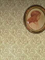 ���� BorasTapeter Anno II 8050 - ���� 5