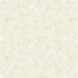  Bruno Zoff  Gold 60128-1