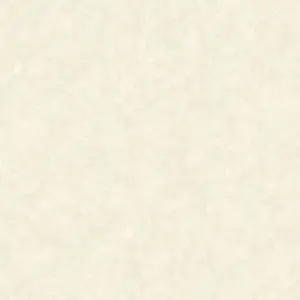  Bruno Zoff  Platinum 60104-4 -  1