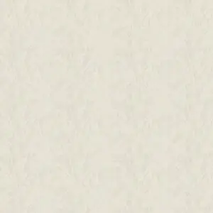  Bruno Zoff  Silver 60114-2 -  1