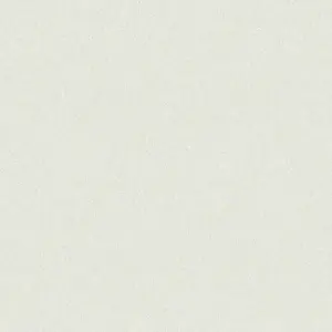  Bruno Zoff  Silver 60118-1 -  1