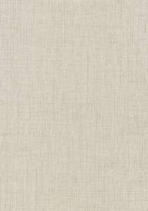  Calcutta Castilla 517009