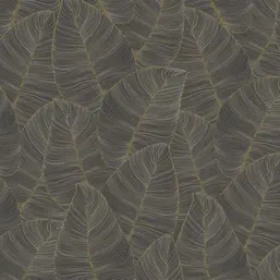  Casa Mia Graphite RM91606