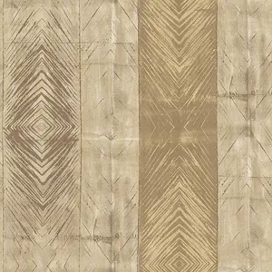  Casa Mia Titanium RM40101 -  1