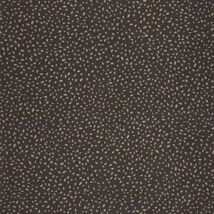  Caselio Essentiel 103139021 -  1