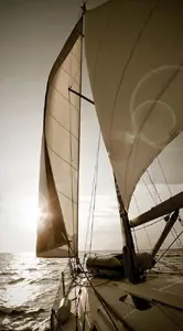  Casadeco Marina 25156244 -  1