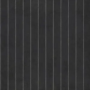  Casadeco Prague Rayure PGE 8081 98 14 -  1