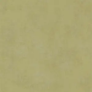 Обои Casadeco Stone 8083 72 07  - фото 1