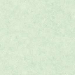 Обои Caselio Beton 101487400
