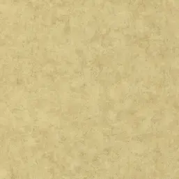  Caselio Beton 101487893