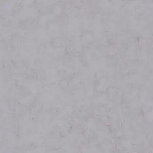  Caselio Beton 101489134 -  1