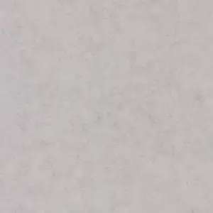  Caselio Beton 101489460 -  1