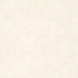  Caselio Beton 101491019 -  1