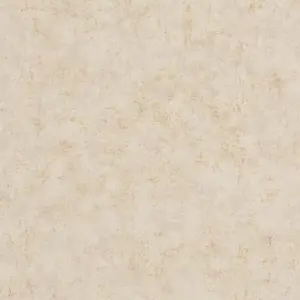  Caselio Beton 101491127 -  1