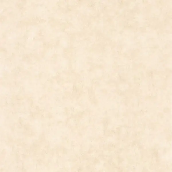  Caselio Beton 2 101481123 -  1