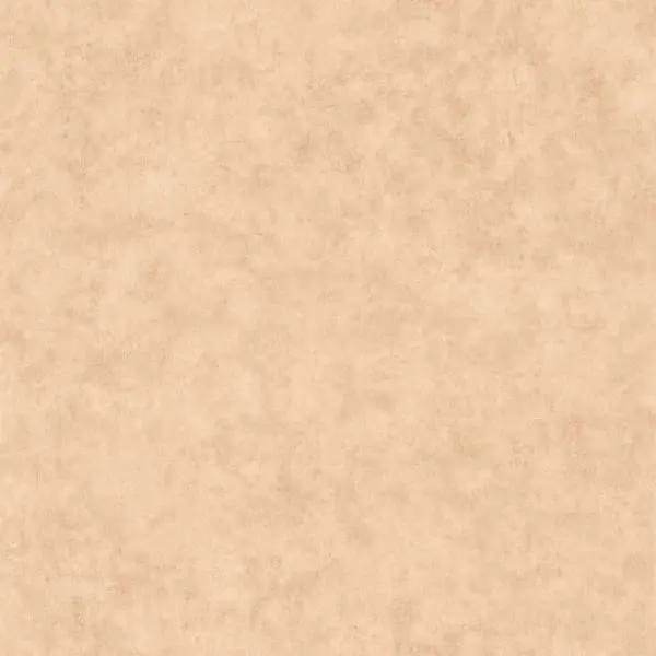  Caselio Beton 2 101482446 -  1