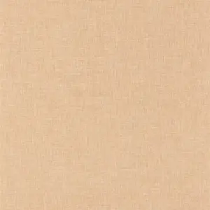  Caselio Danae 68521378 -  1