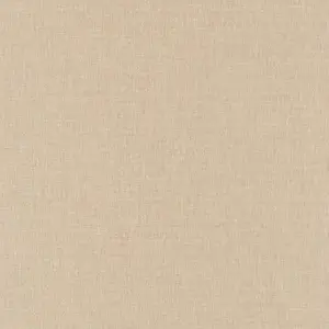  Caselio Danae 68521400 -  1
