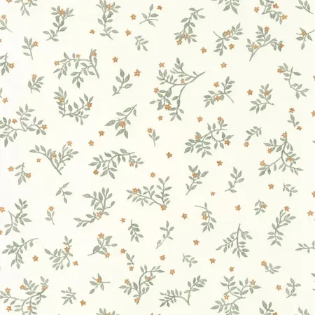  Caselio Danae 103647032 -  1