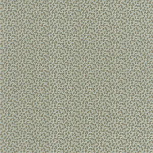  Caselio Danae 103656071 -  1