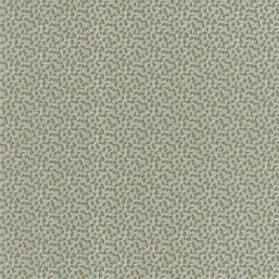  Caselio Danae 103656071