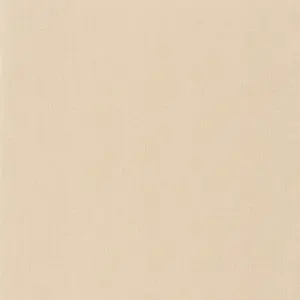  Caselio Natte 101571106 -  1