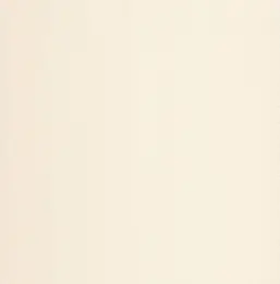  Chelsea Decor Vision DL22825