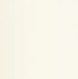  Chelsea Decor Vision DL22842