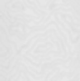  Chelsea Decor Vision DL22854