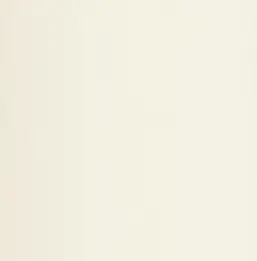  Chelsea Decor Vision DL22865