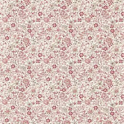 ���� Clarke&Clarke  Indira W0235-01