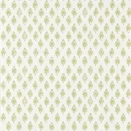  Clarke&Clarke  Indira W0238-01