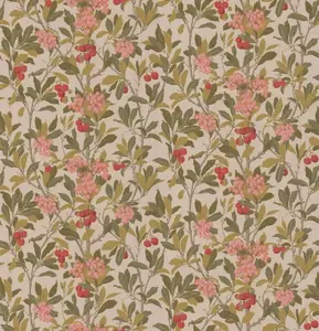  Cole&Son Archive Anthology 100/10047 -  1