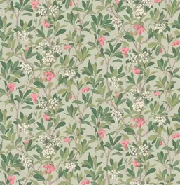  Cole&Son Archive Anthology 100/10048